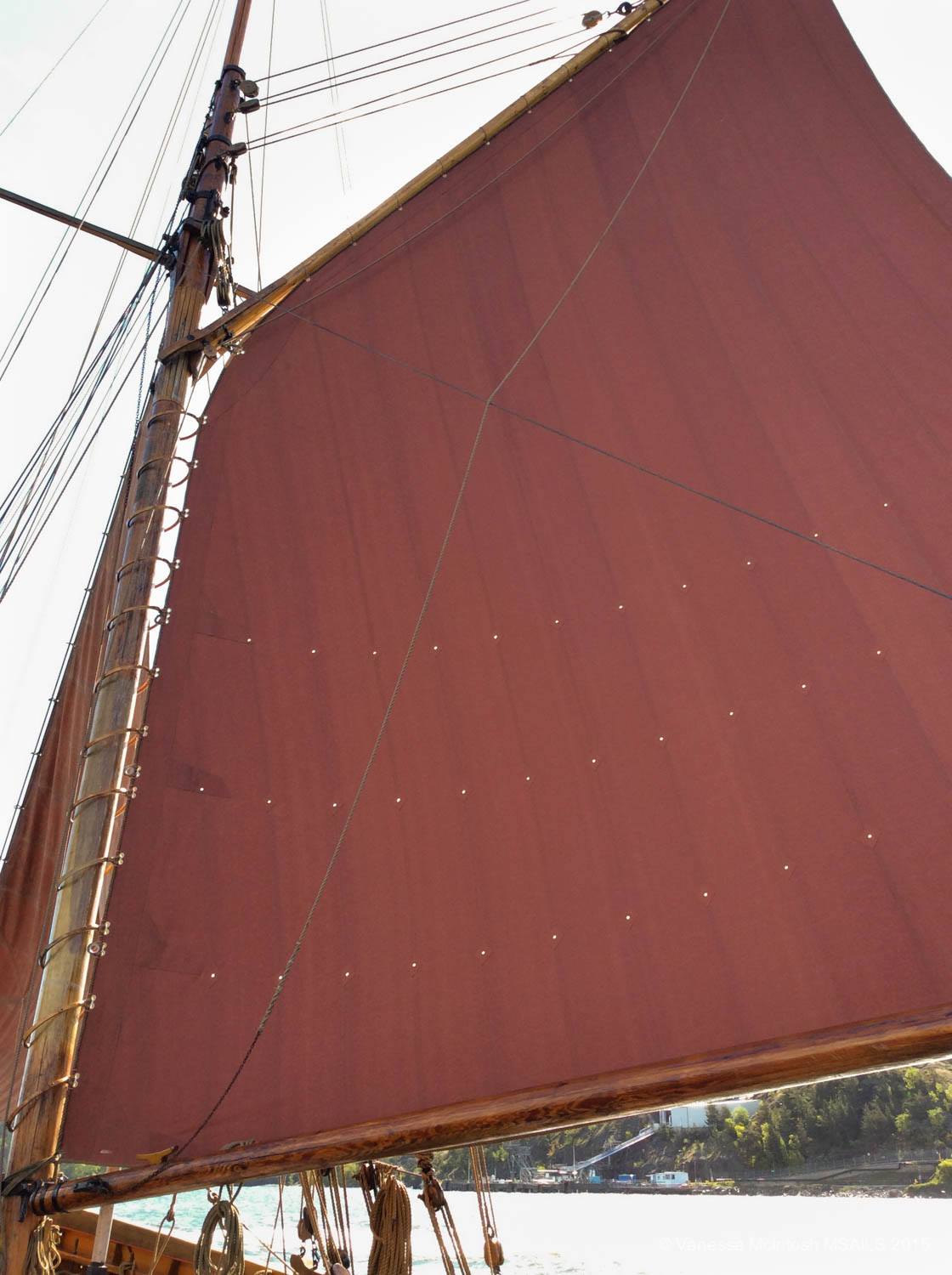 DEODAR mainsail 100 sqm - Clipper Canvas Tan 750g/sqm